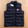 ЕЛЕК CANADA GOOSE